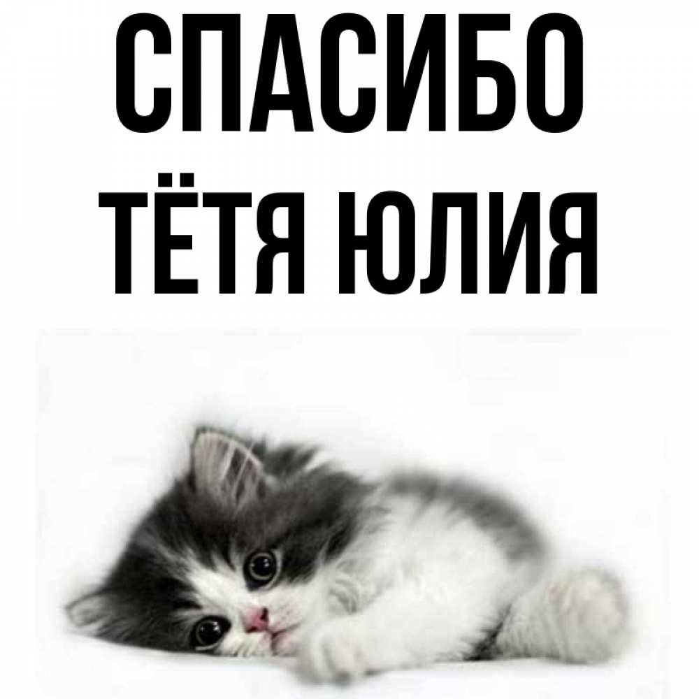 Открытка на каждый день с именем, Тётя-Юлия Спасибо черный и белый кот Прикольная открытка с пожеланием онлайн скачать бесплатно 