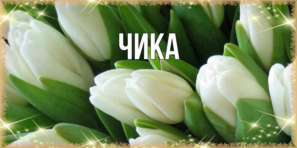 Открытка на каждый день с именем, Чика Главная поздравляем с 8 марта Прикольная открытка с пожеланием онлайн скачать бесплатно 
