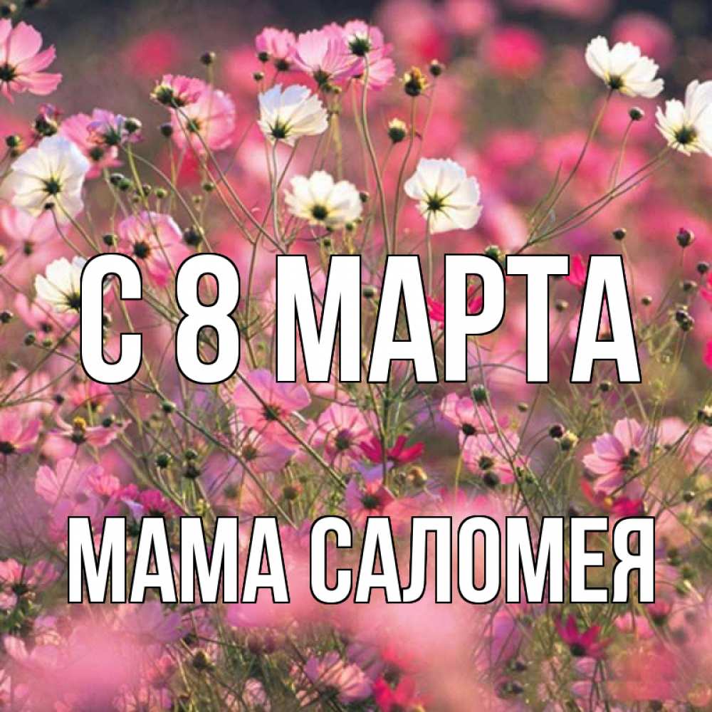 Открытка на каждый день с именем, Мама-Саломея С 8 марта красиво 1 Прикольная открытка с пожеланием онлайн скачать бесплатно 