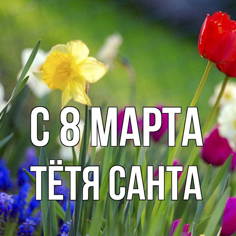 Открытка на каждый день с именем, Тётя-Санта С 8 марта международный женский день 3 Прикольная открытка с пожеланием онлайн скачать бесплатно 