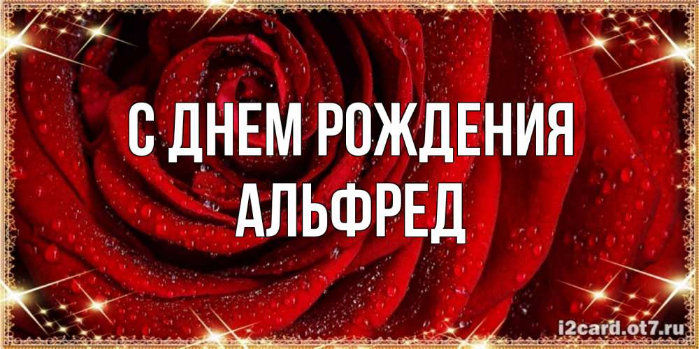 Открытка на каждый день с именем, Альфред С днем рождения роса на розе блестящая в лучах солнца Прикольная открытка с пожеланием онлайн скачать бесплатно 