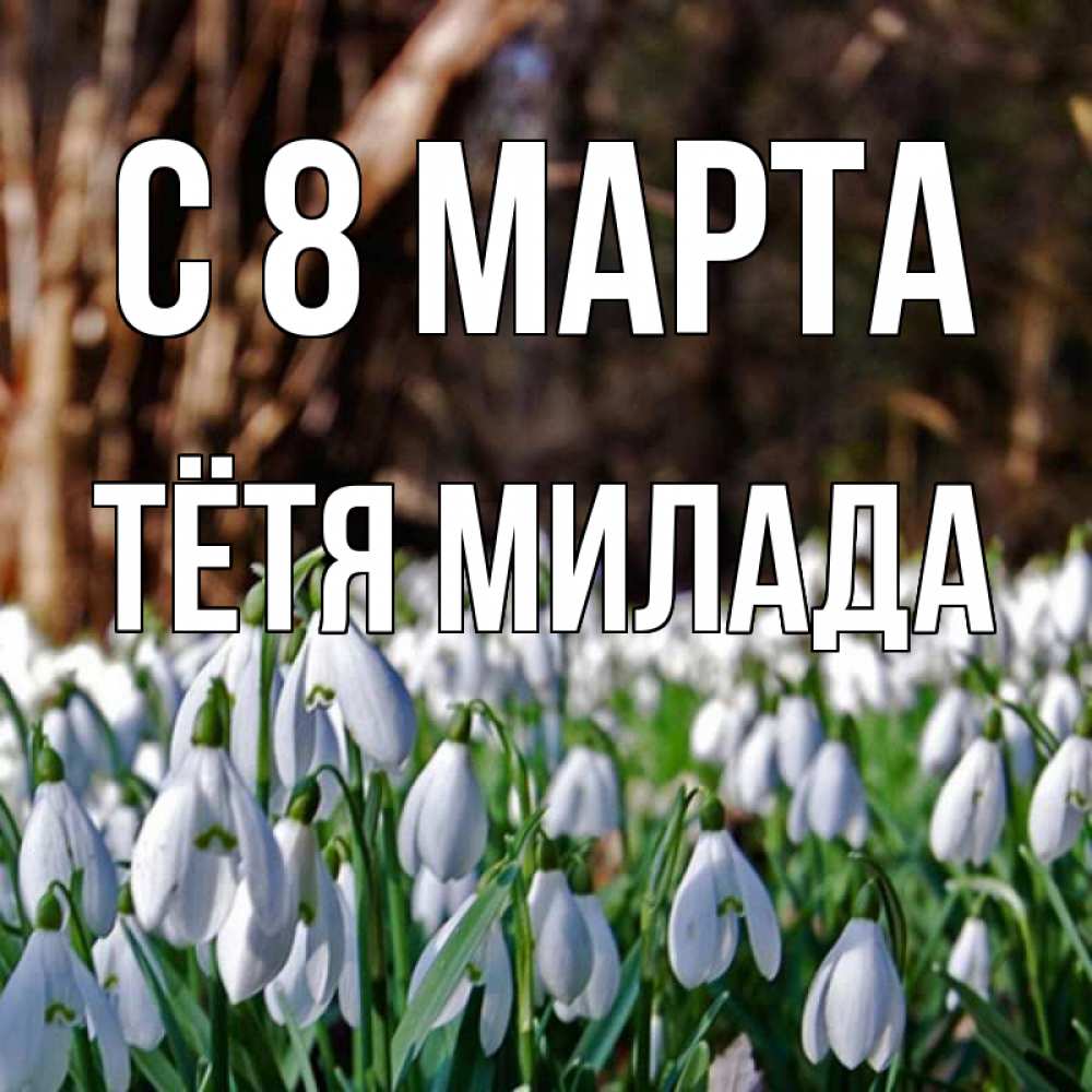 Открытка на каждый день с именем, Тётя-Милада С 8 МАРТА с подснежниками 1 Прикольная открытка с пожеланием онлайн скачать бесплатно 