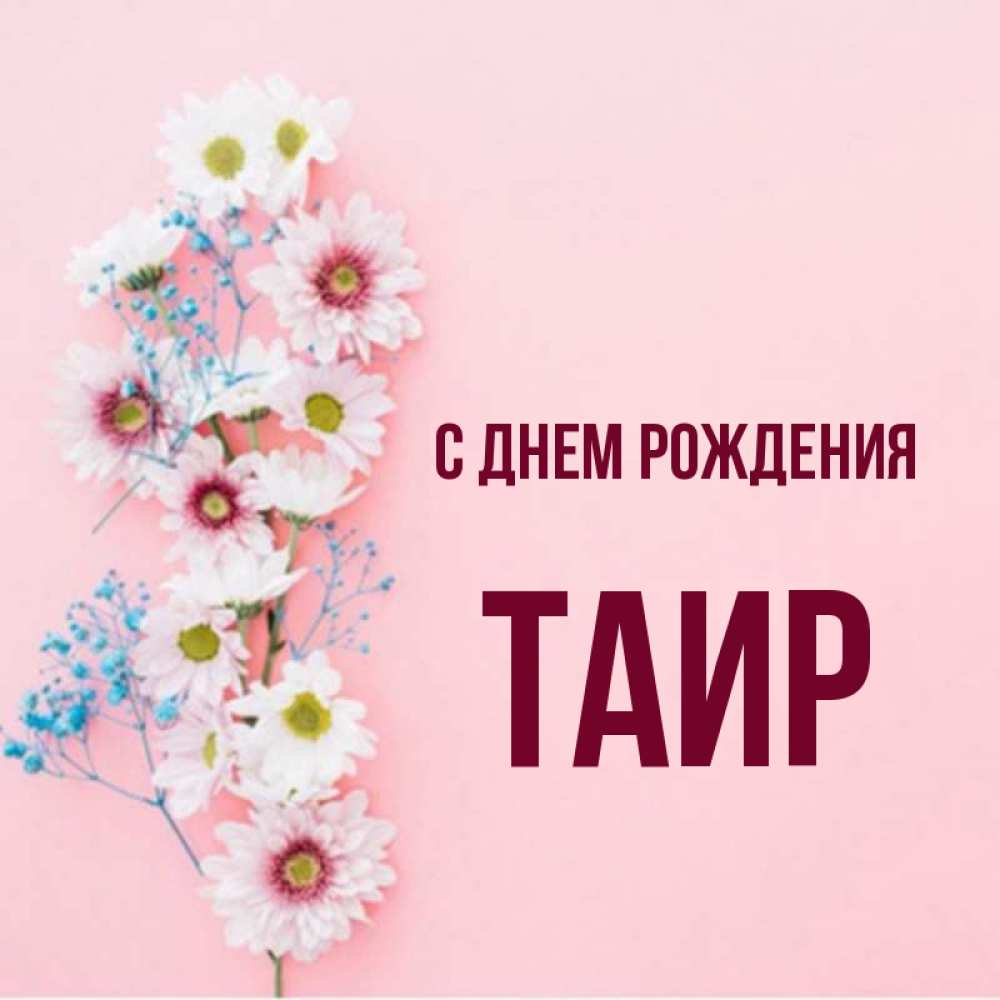 Таир с днем рождения картинки