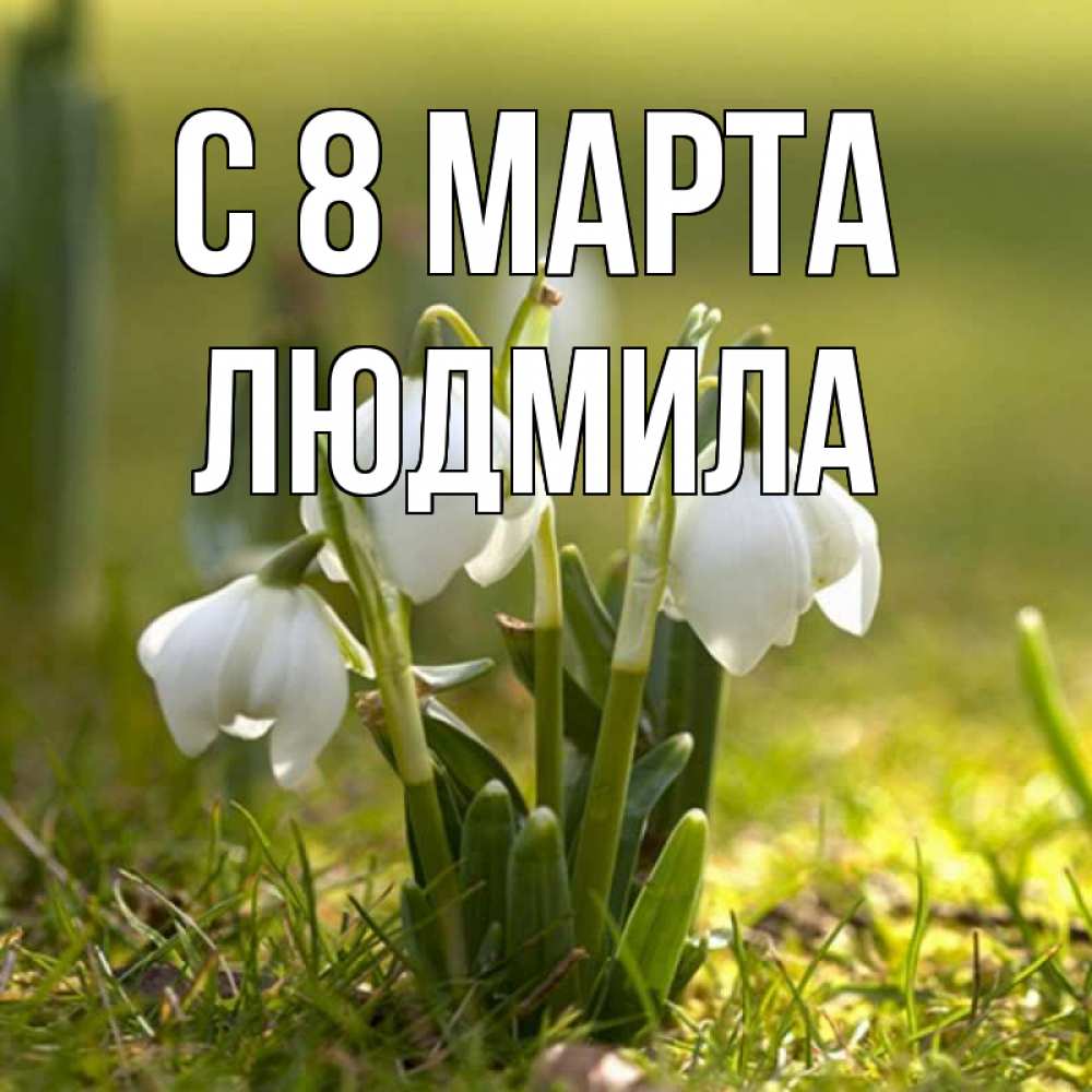 Открытка на каждый день с именем, людмила С 8 МАРТА ранние цветы 2 Прикольная открытка с пожеланием онлайн скачать бесплатно 