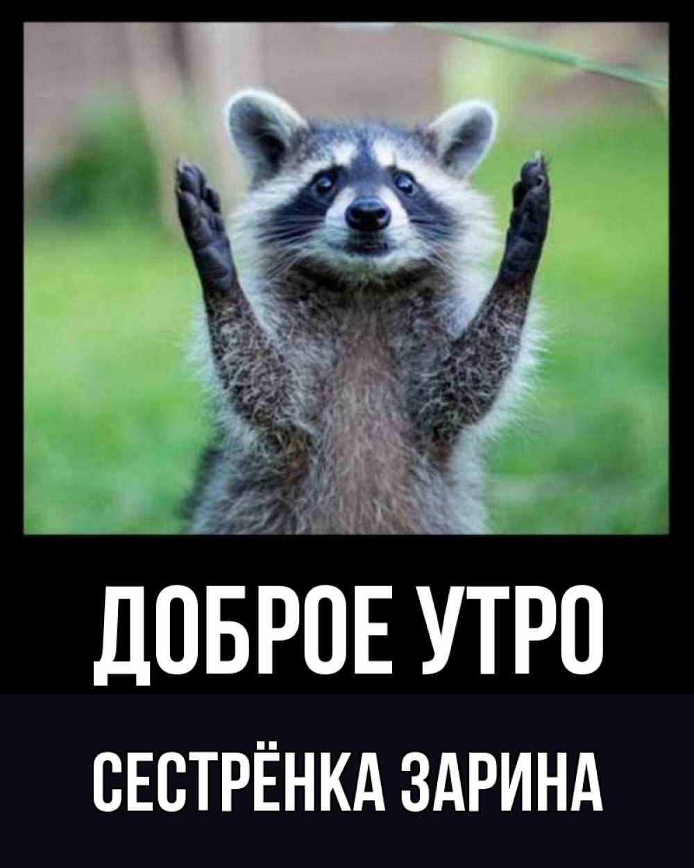 Открытка на каждый день с именем, Сестрёнка-Зарина Доброе утро хорошее настроение утречком Прикольная открытка с пожеланием онлайн скачать бесплатно 