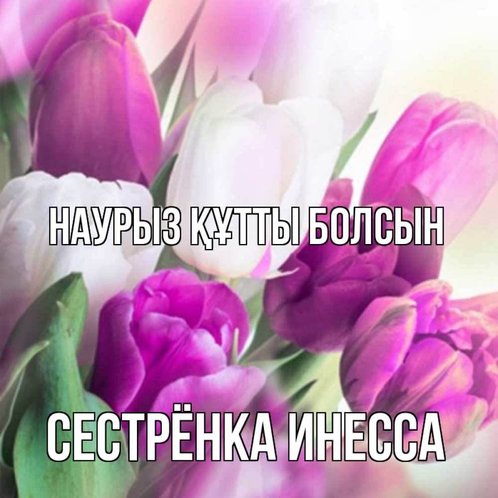 Открытка на каждый день с именем, Сестрёнка-Инесса Наурыз құтты болсын весна 1 Прикольная открытка с пожеланием онлайн скачать бесплатно 