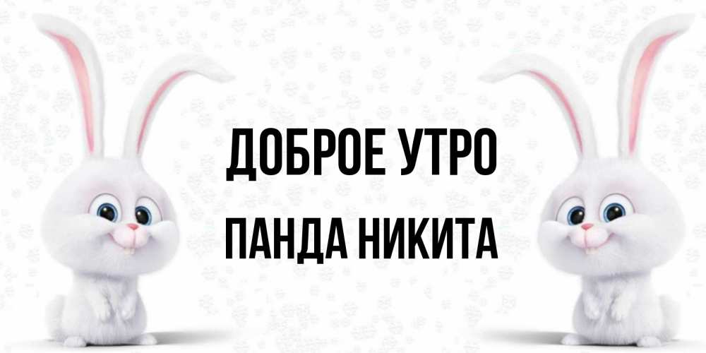 Картинка Доброе утро, панда Никита