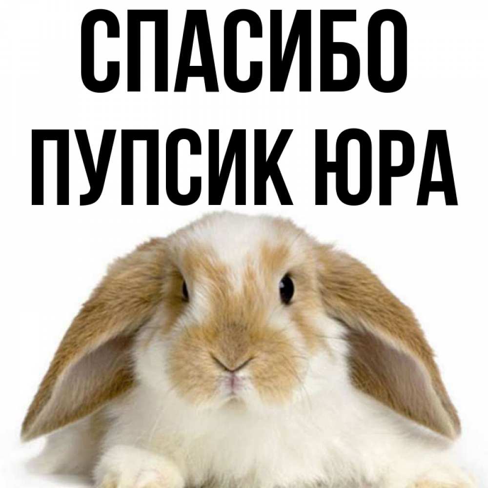 Отрисовки карапузы. Спасибо пупсик. Прости меня пупсик картинки. Спасибо пупсик. Смайл пупсик.