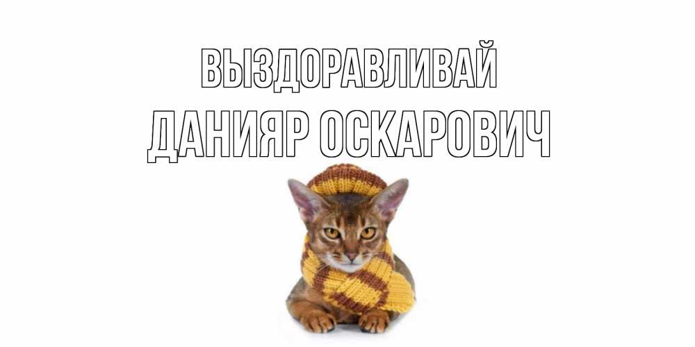 Картинка Выздоравливай, Данияр Оскарович