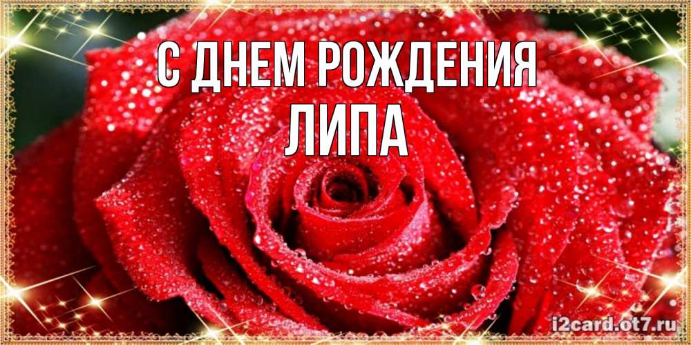 Открытка на каждый день с именем, ЛИПА С днем рождения роса и роза. открытка с красивой розой Прикольная открытка с пожеланием онлайн скачать бесплатно 
