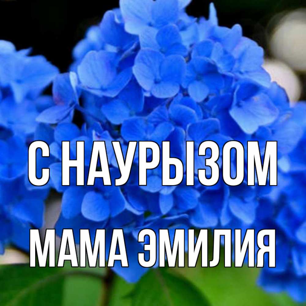 Открытка на каждый день с именем, Мама-Эмилия С наурызом синие цветы Прикольная открытка с пожеланием онлайн скачать бесплатно 