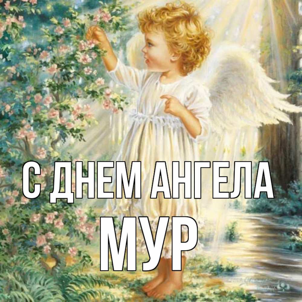 Имя мур