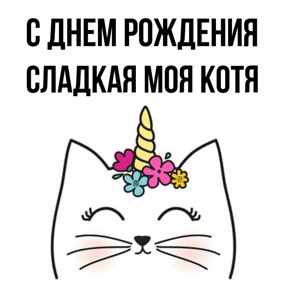 Моя котя