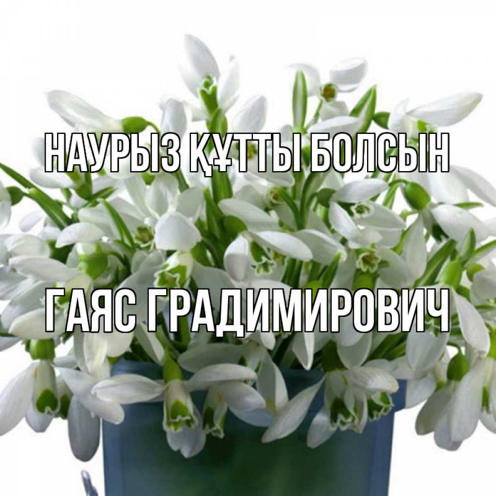 Открытка на каждый день с именем, Гаяс-Градимирович Наурыз құтты болсын цветы к наурызу Прикольная открытка с пожеланием онлайн скачать бесплатно 