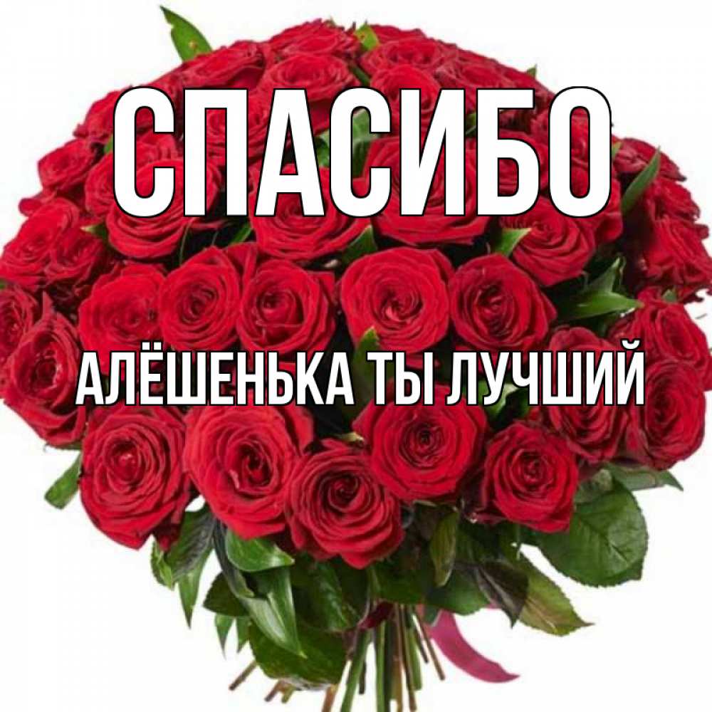 Спасибо ты лучший