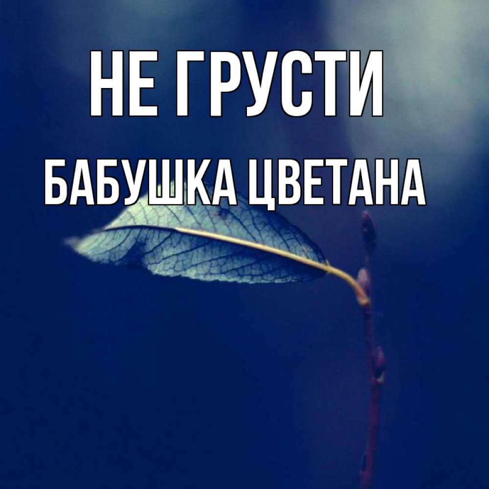 Открытка на каждый день с именем, Бабушка-Цветана Не грусти растение Прикольная открытка с пожеланием онлайн скачать бесплатно 