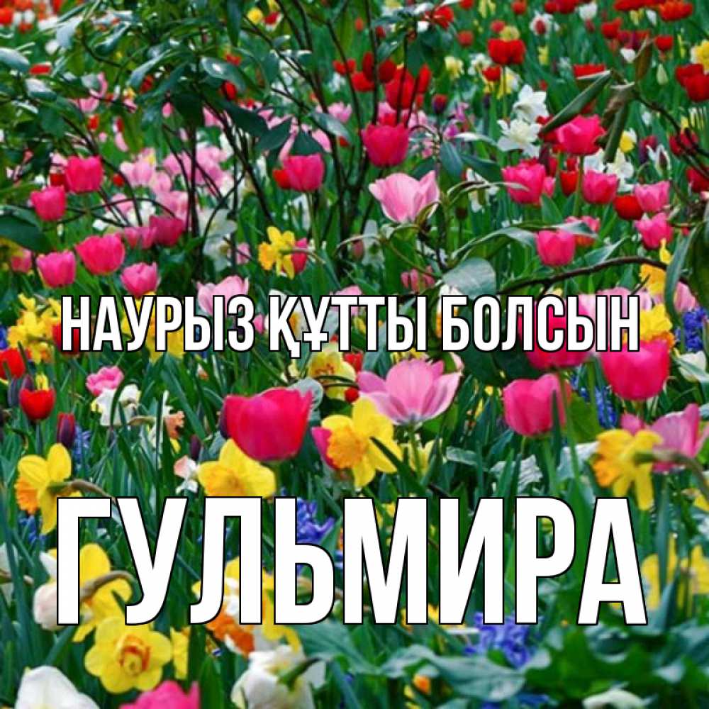 Открытка на каждый день с именем, Гульмира Наурыз құтты болсын с наурызом поздравления для женщины Прикольная открытка с пожеланием онлайн скачать бесплатно 