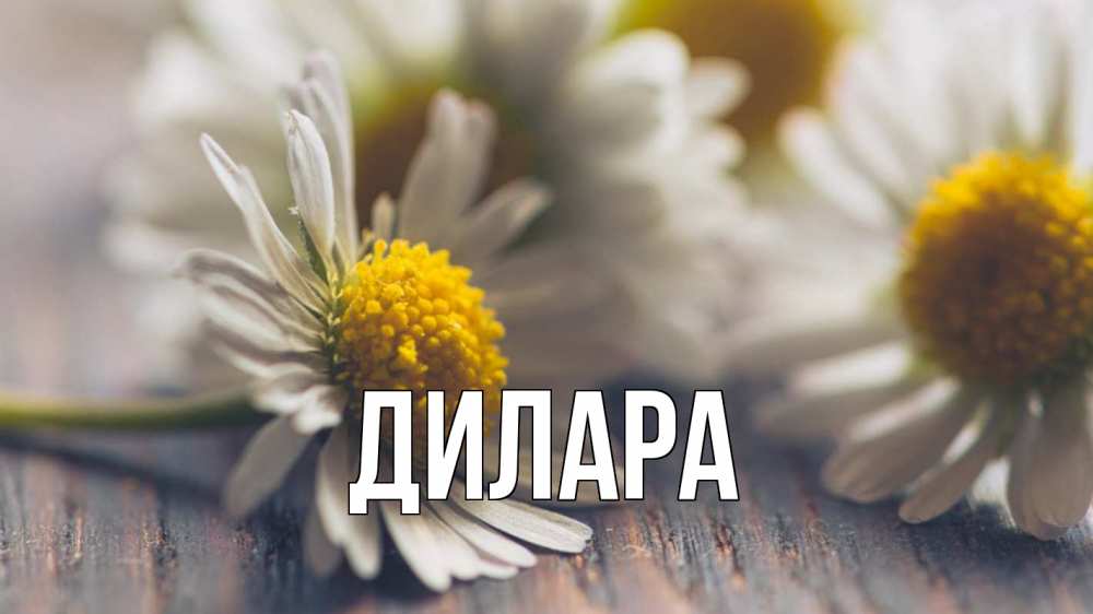 Открытка на каждый день с именем, Дилара Главная с днем семьи Прикольная открытка с пожеланием онлайн скачать бесплатно 