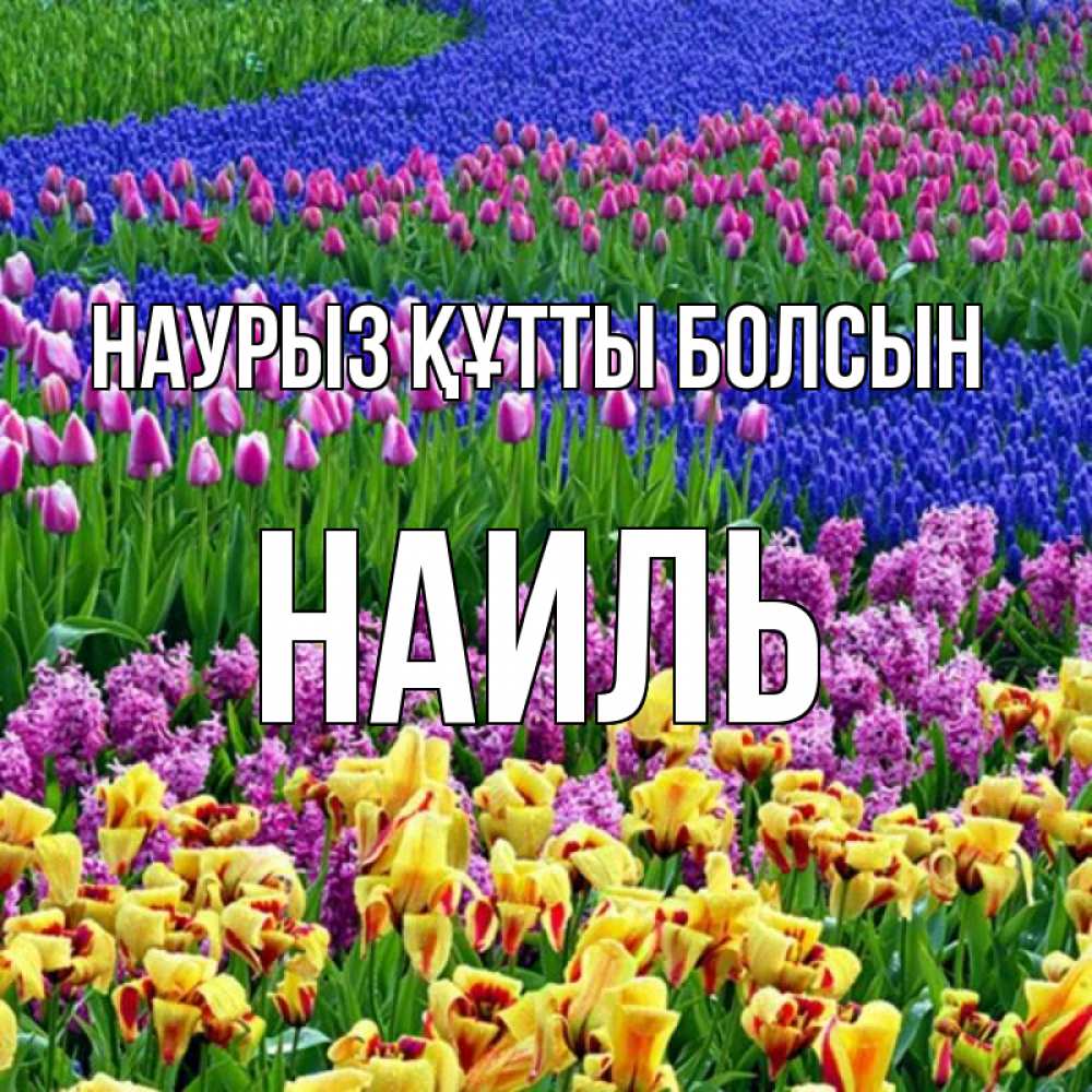 Открытка на каждый день с именем, Наиль Наурыз құтты болсын цветы Прикольная открытка с пожеланием онлайн скачать бесплатно 