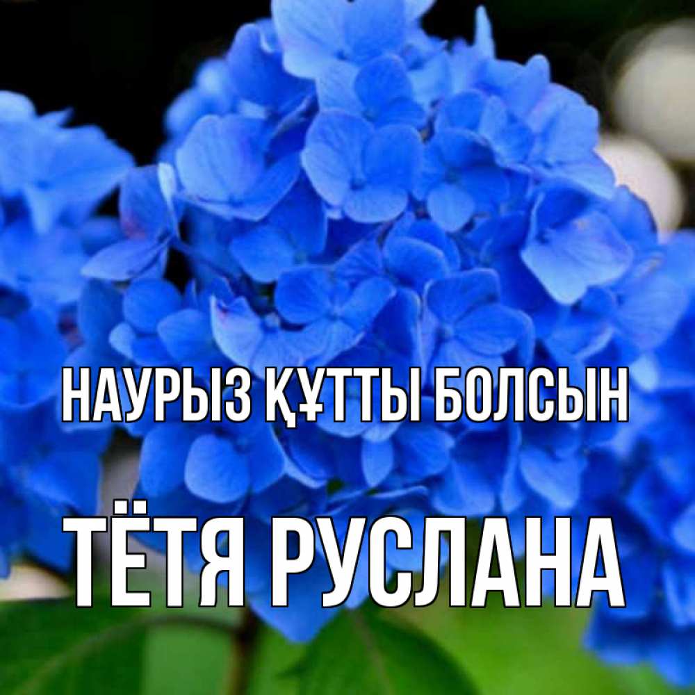 Открытка на каждый день с именем, Тётя-Руслана Наурыз құтты болсын синие цветы Прикольная открытка с пожеланием онлайн скачать бесплатно 