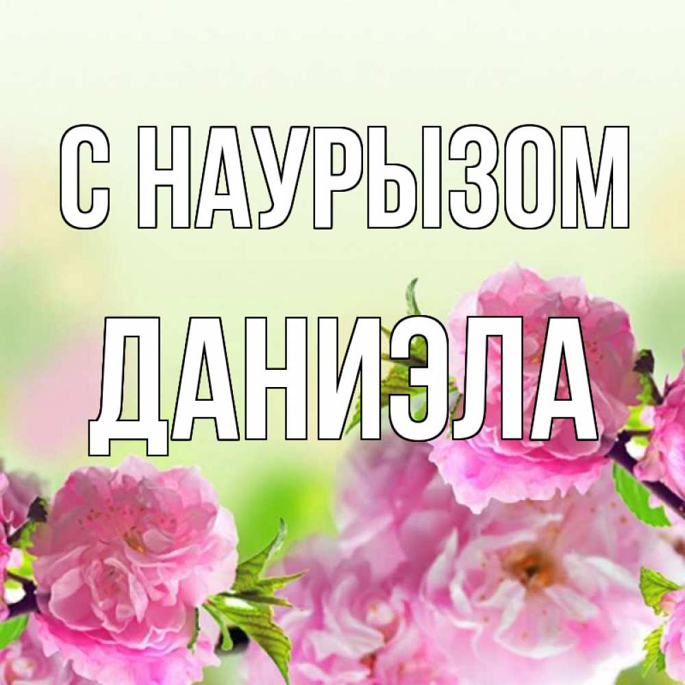 Открытка на каждый день с именем, Даниэла С наурызом цветы Прикольная открытка с пожеланием онлайн скачать бесплатно 