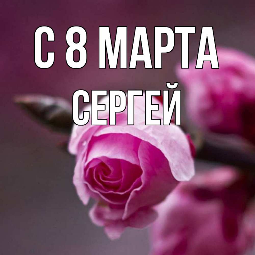 Открытка на каждый день с именем, Сергей С 8 марта весна Прикольная открытка с пожеланием онлайн скачать бесплатно 