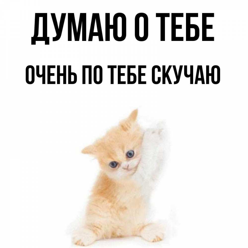 Картинка Думаю о тебе, очень по тебе скучаю