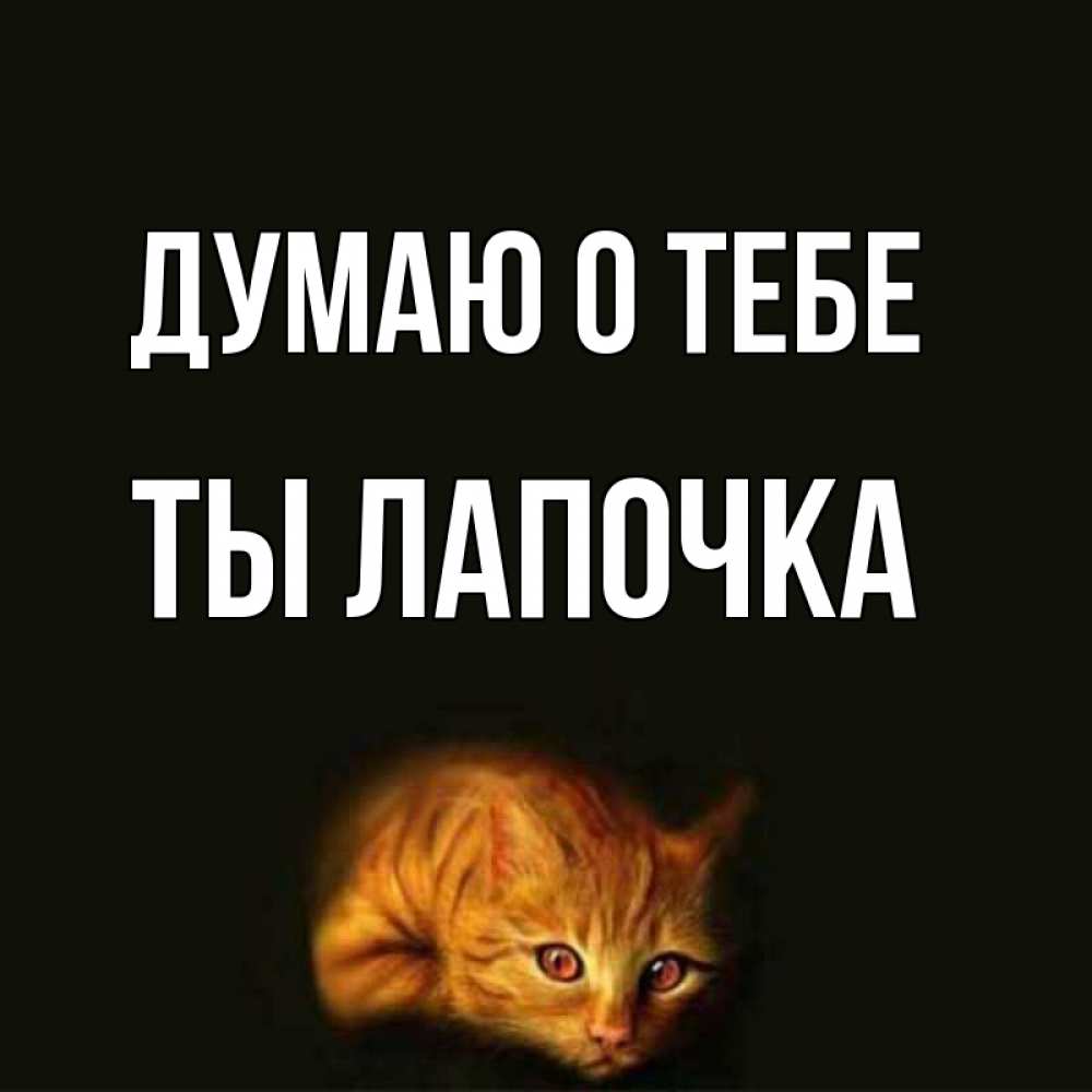 Ты лапочка картинки