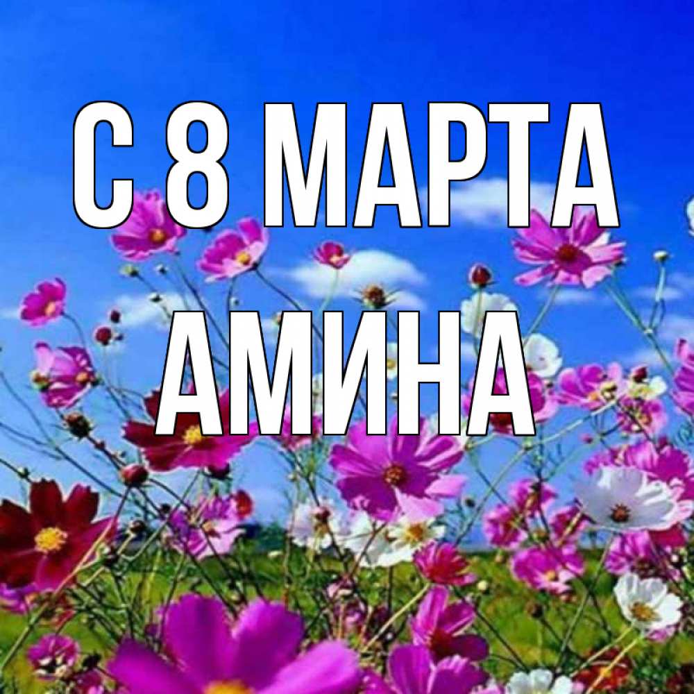 Открытка на каждый день с именем, Амина С 8 МАРТА цветы Прикольная открытка с пожеланием онлайн скачать бесплатно 