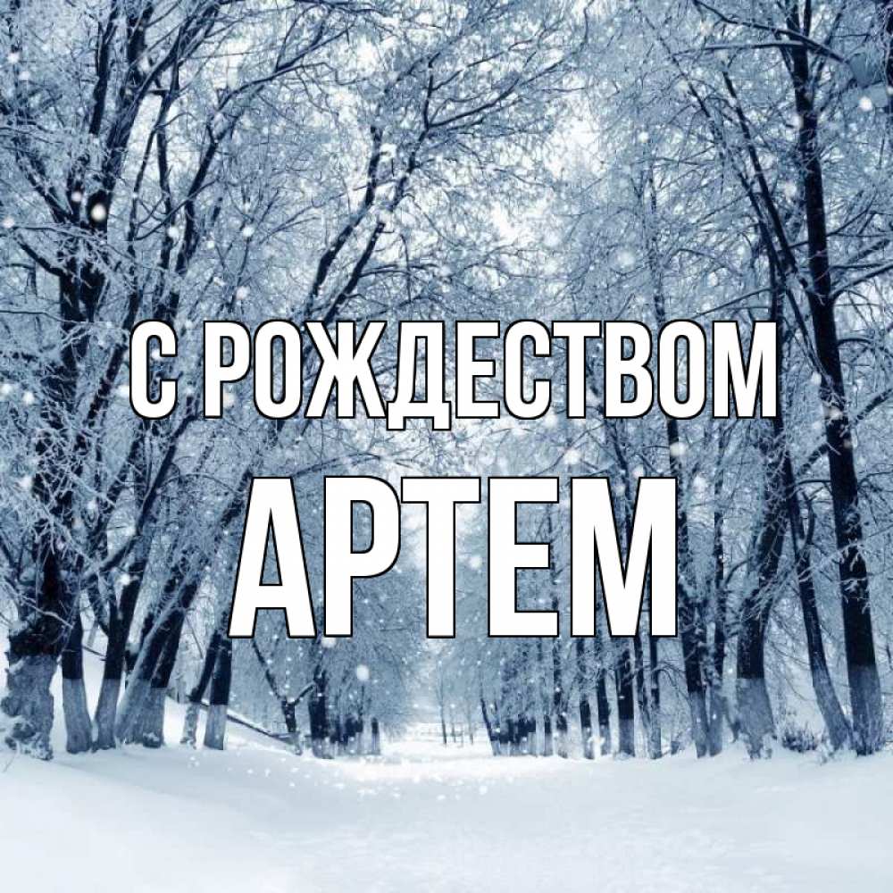 Открытка на каждый день с именем, Артем С рождеством снег, лес, парк Прикольная открытка с пожеланием онлайн скачать бесплатно 
