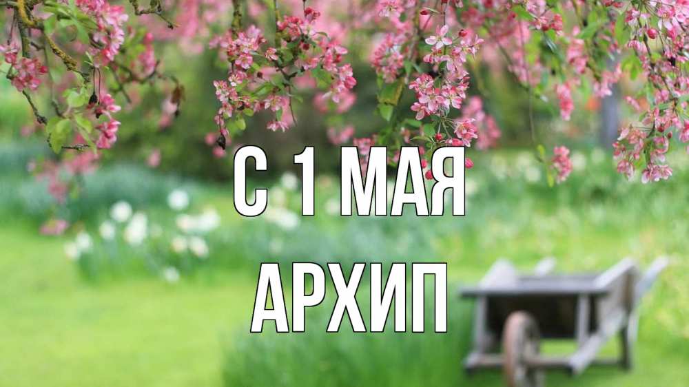 Открытка на каждый день с именем, Архип С 1 мая С 1 мая Прикольная открытка с пожеланием онлайн скачать бесплатно 