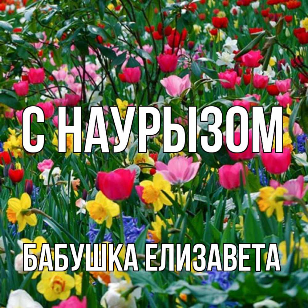 Открытка на каждый день с именем, Бабушка-Елизавета С наурызом с наурызом праздником весны поздравления для женщины Прикольная открытка с пожеланием онлайн скачать бесплатно 