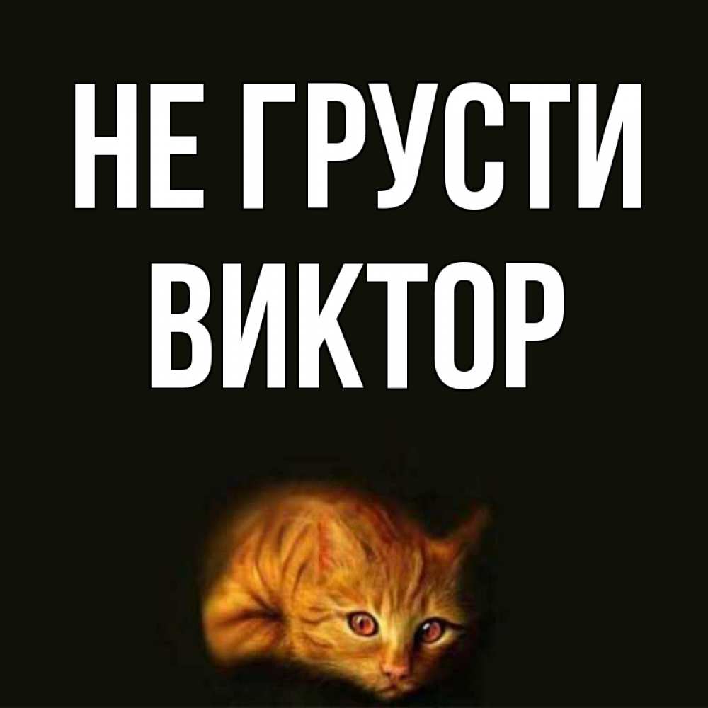 Открытка на каждый день с именем, Виктор Не грусти лежащий кот в темноте Прикольная открытка с пожеланием онлайн скачать бесплатно 