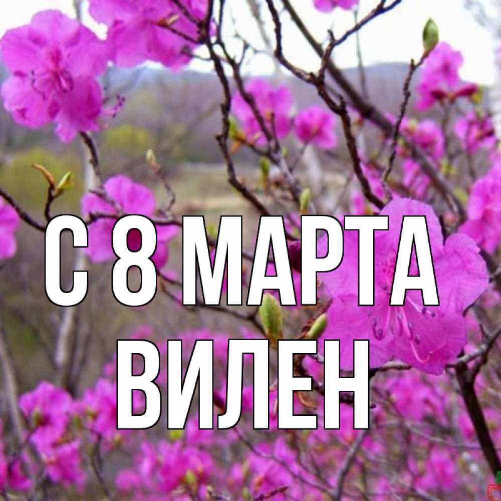 Открытка на каждый день с именем, Вилен С 8 МАРТА международный женский день Прикольная открытка с пожеланием онлайн скачать бесплатно 
