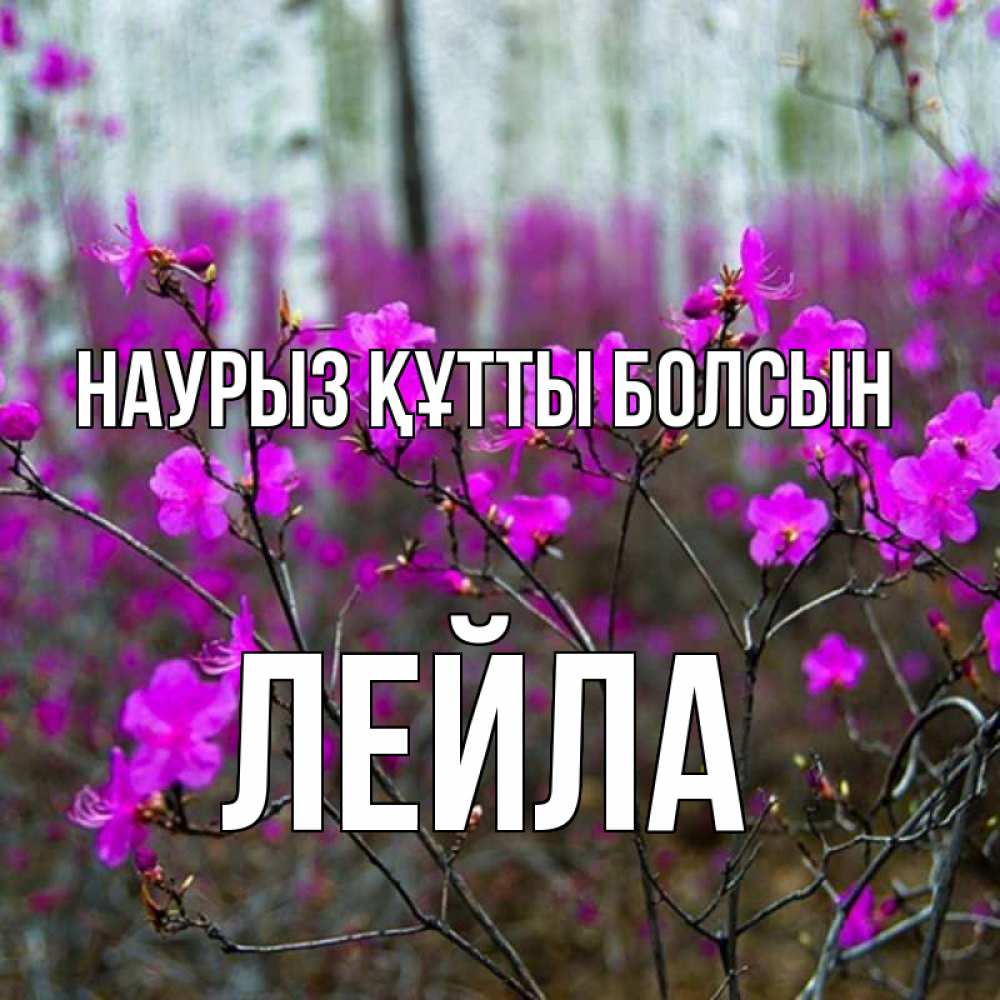 Открытка на каждый день с именем, Лейла Наурыз құтты болсын дикие цветы Прикольная открытка с пожеланием онлайн скачать бесплатно 