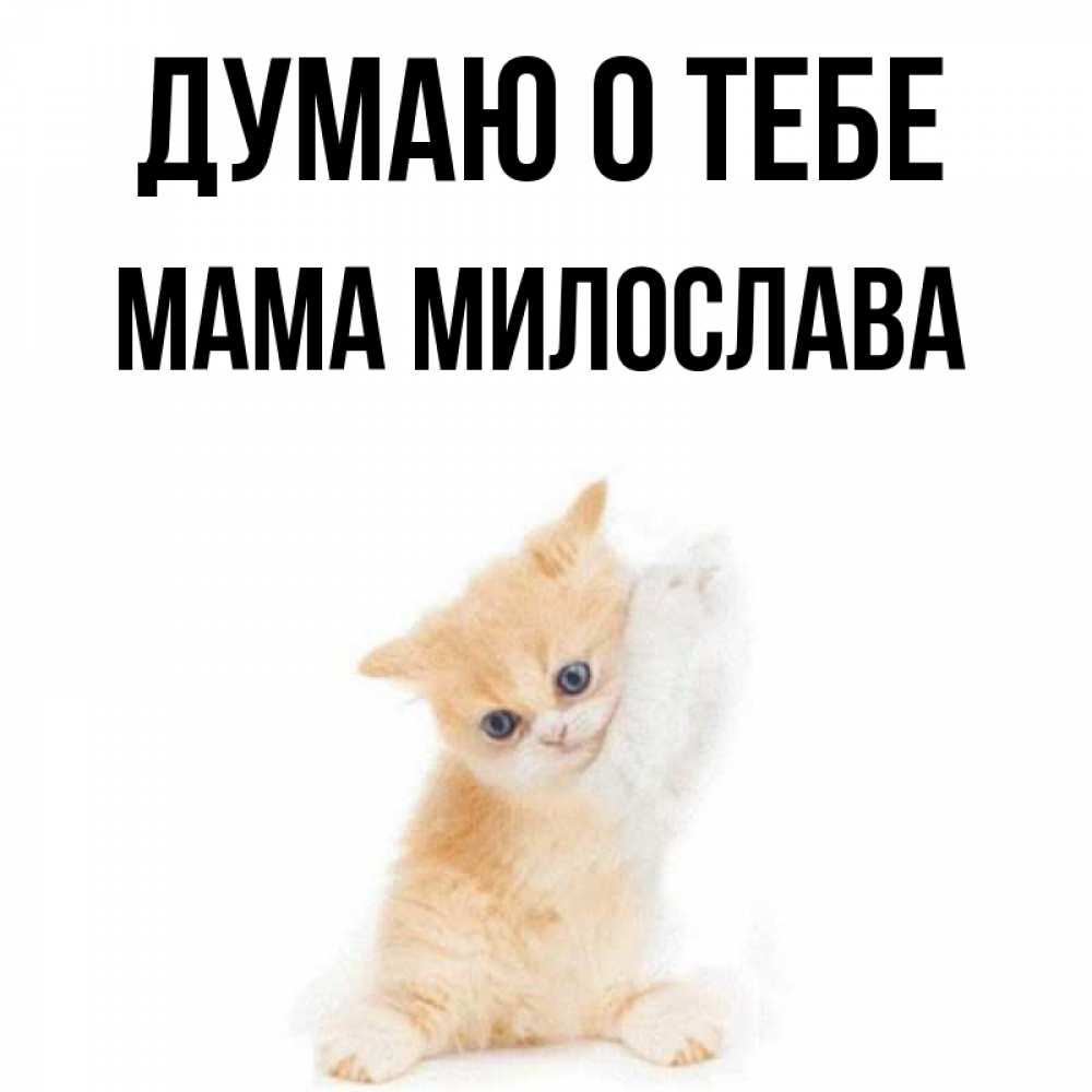 Открытка на каждый день с именем, Мама-Милослава Думаю о тебе зверушки и милота Прикольная открытка с пожеланием онлайн скачать бесплатно 