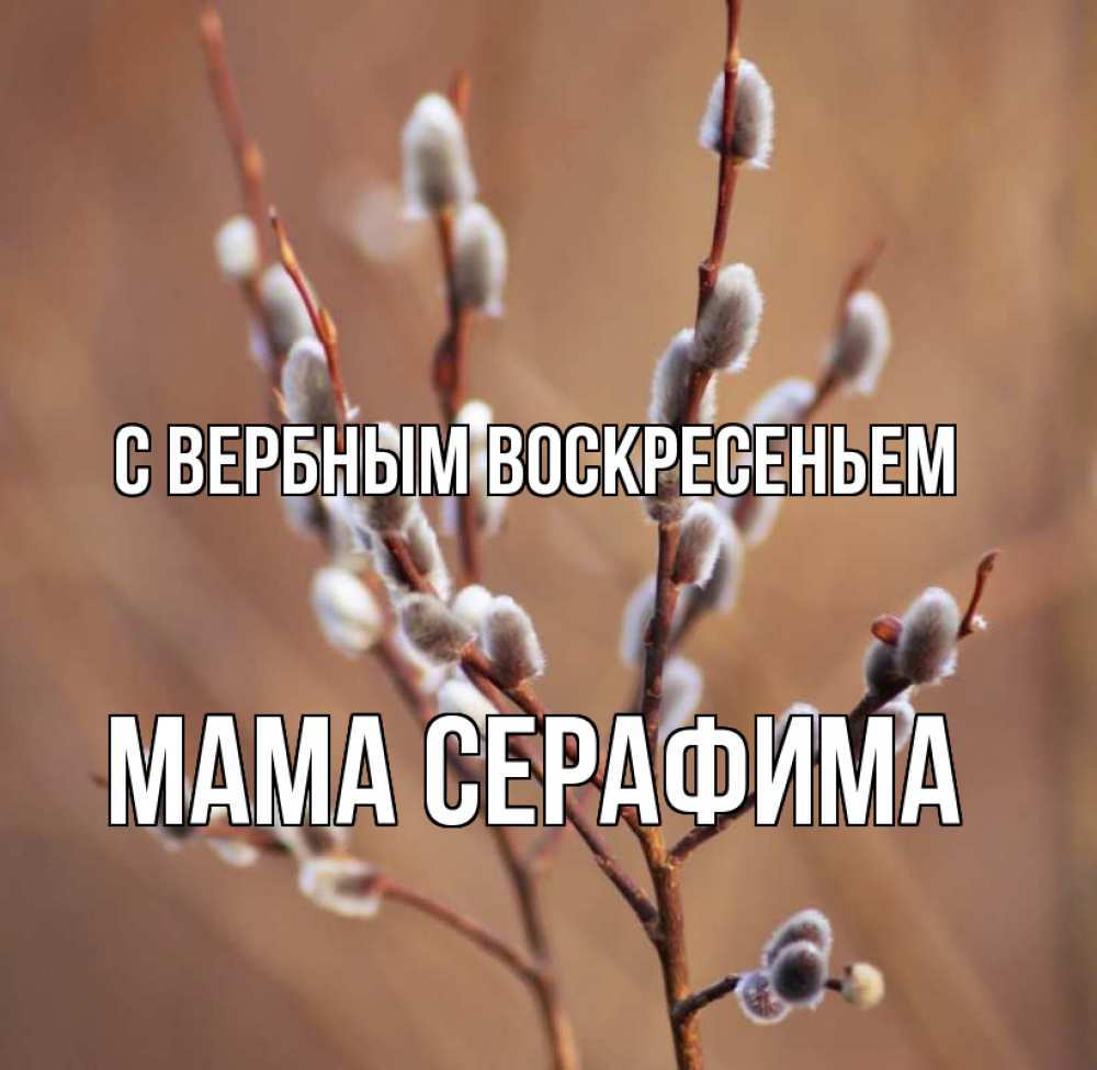 Открытка на каждый день с именем, Мама-Серафима С вербным воскресеньем верба Прикольная открытка с пожеланием онлайн скачать бесплатно 