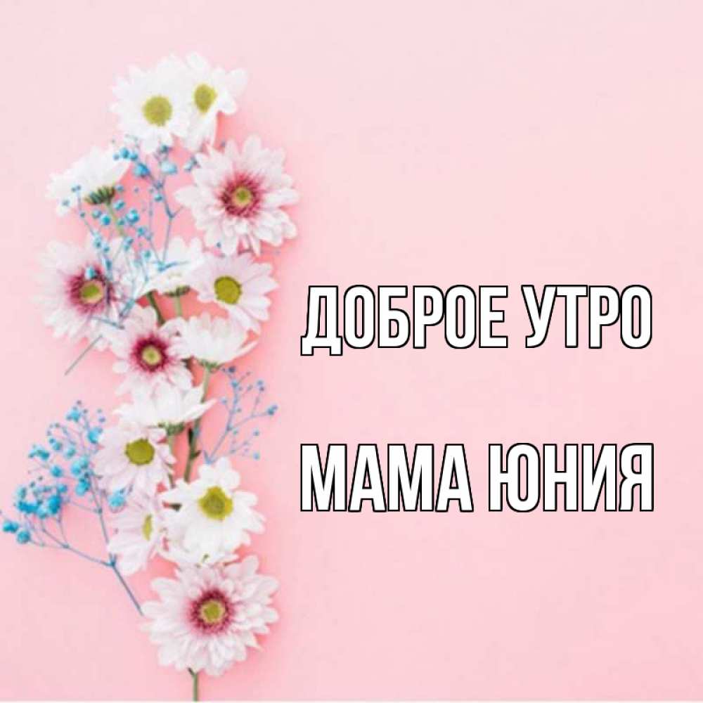 Открытка на каждый день с именем, Мама-Юния Доброе утро цветы с подписью Прикольная открытка с пожеланием онлайн скачать бесплатно 