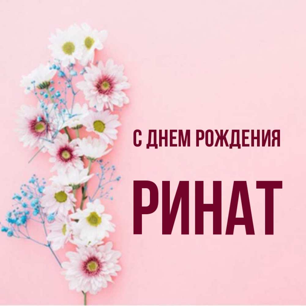 Ренат С Днем Рождения Открытки