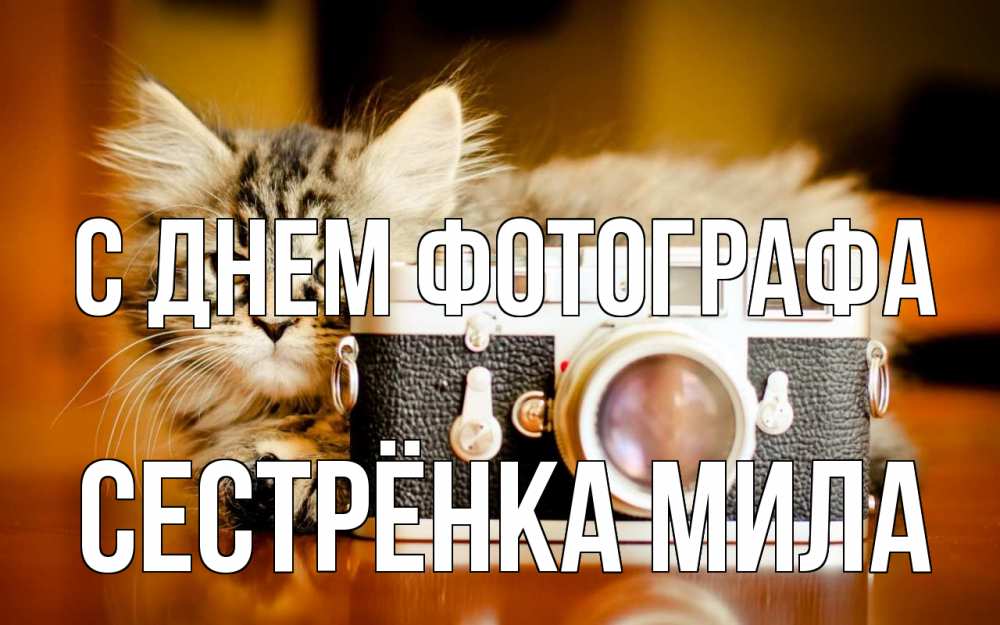 Открытка на каждый день с именем, Сестрёнка-Мила С днем фотографа с днем фотографа Прикольная открытка с пожеланием онлайн скачать бесплатно 