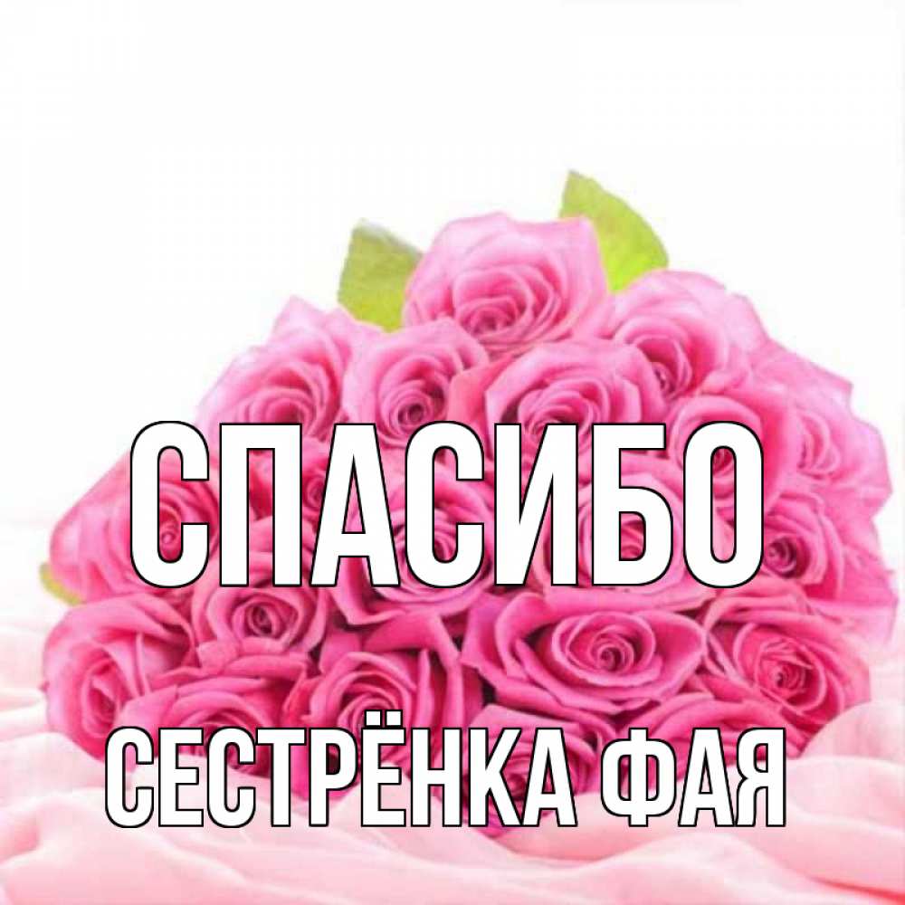 Открытка на каждый день с именем, Сестрёнка-Фая Спасибо розовые розы с подписью Прикольная открытка с пожеланием онлайн скачать бесплатно 