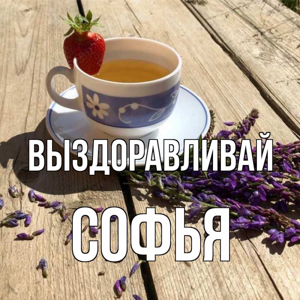 Открытка на каждый день с именем, Софья Выздоравливай чай Прикольная открытка с пожеланием онлайн скачать бесплатно 