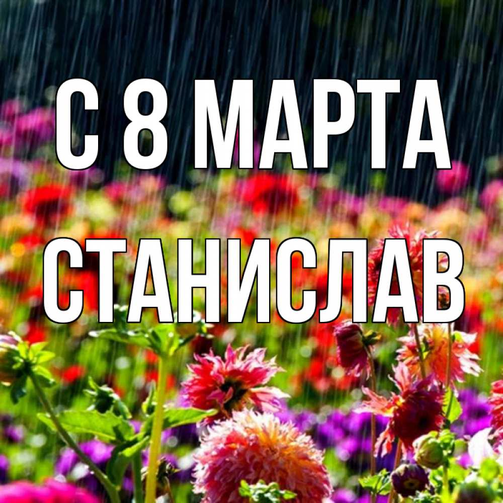 Открытка на каждый день с именем, Станислав С 8 МАРТА цветы под дождиком к международному женскому дню Прикольная открытка с пожеланием онлайн скачать бесплатно 