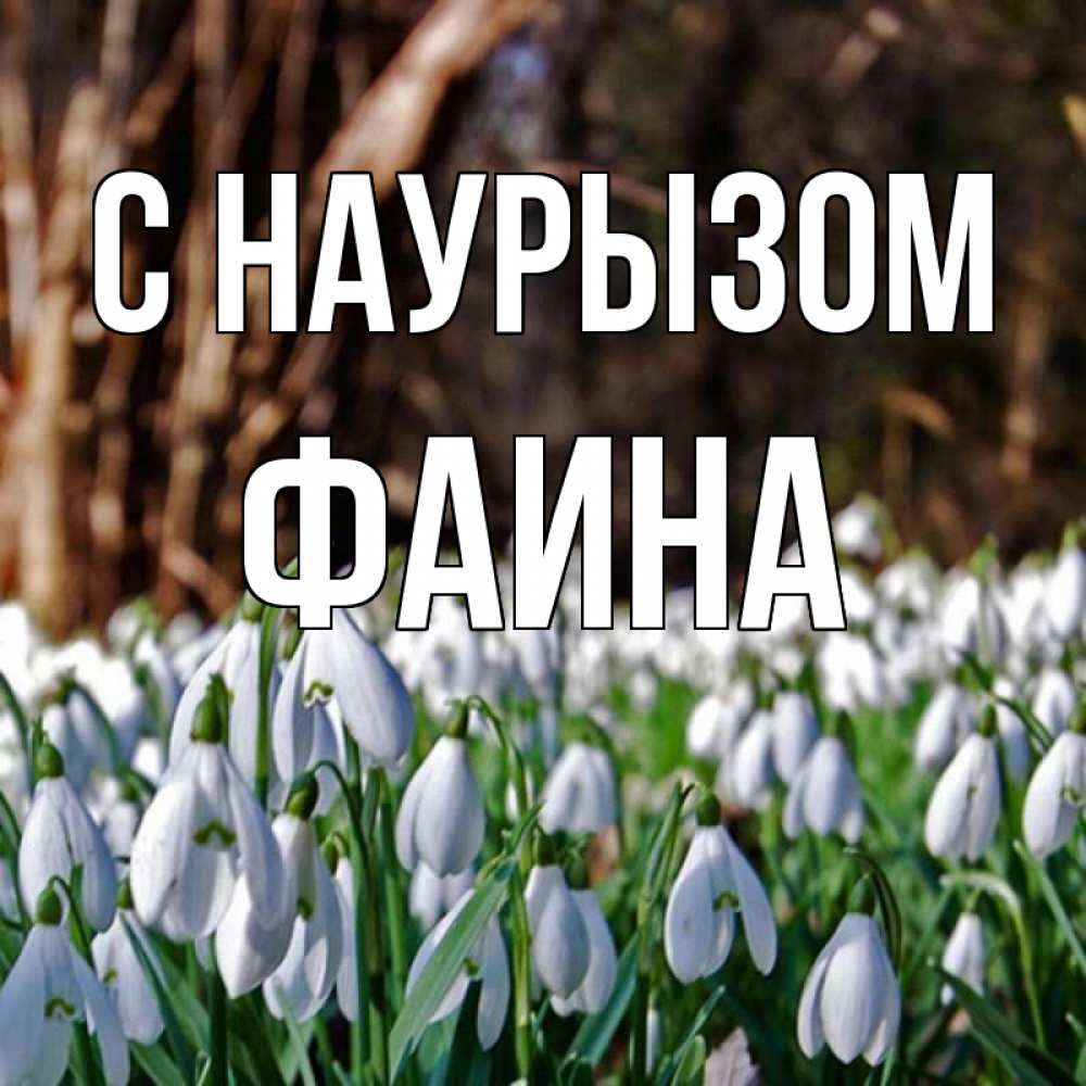 Открытка на каждый день с именем, Фаина С наурызом с подснежниками 1 Прикольная открытка с пожеланием онлайн скачать бесплатно 