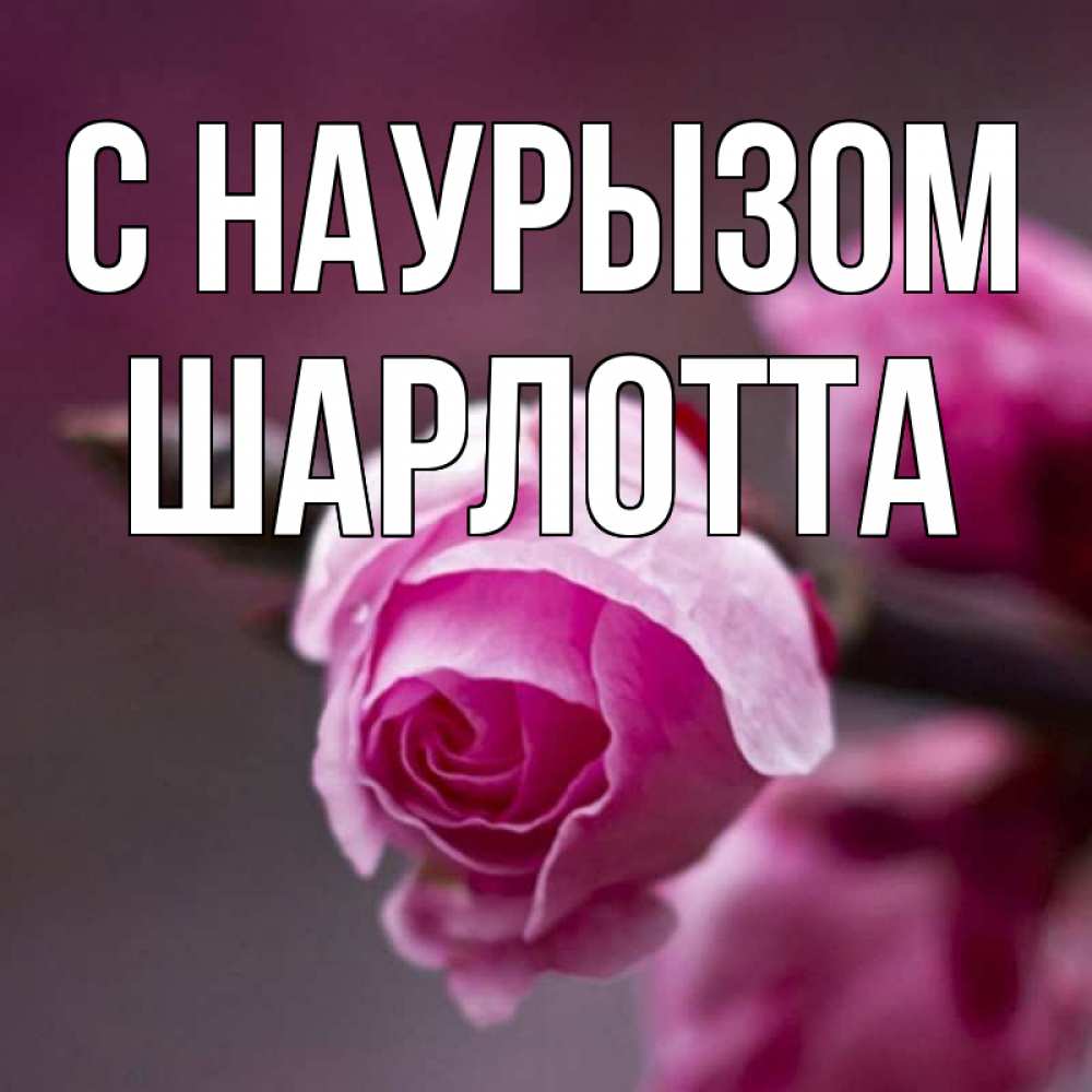 Открытка на каждый день с именем, Шарлотта С наурызом весна Прикольная открытка с пожеланием онлайн скачать бесплатно 