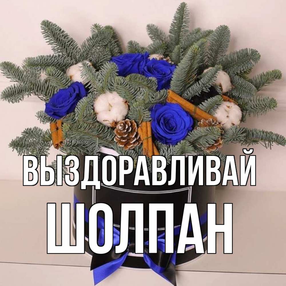 Открытка на каждый день с именем, Шолпан Выздоравливай короче кто то загрузил эти шишки Прикольная открытка с пожеланием онлайн скачать бесплатно 