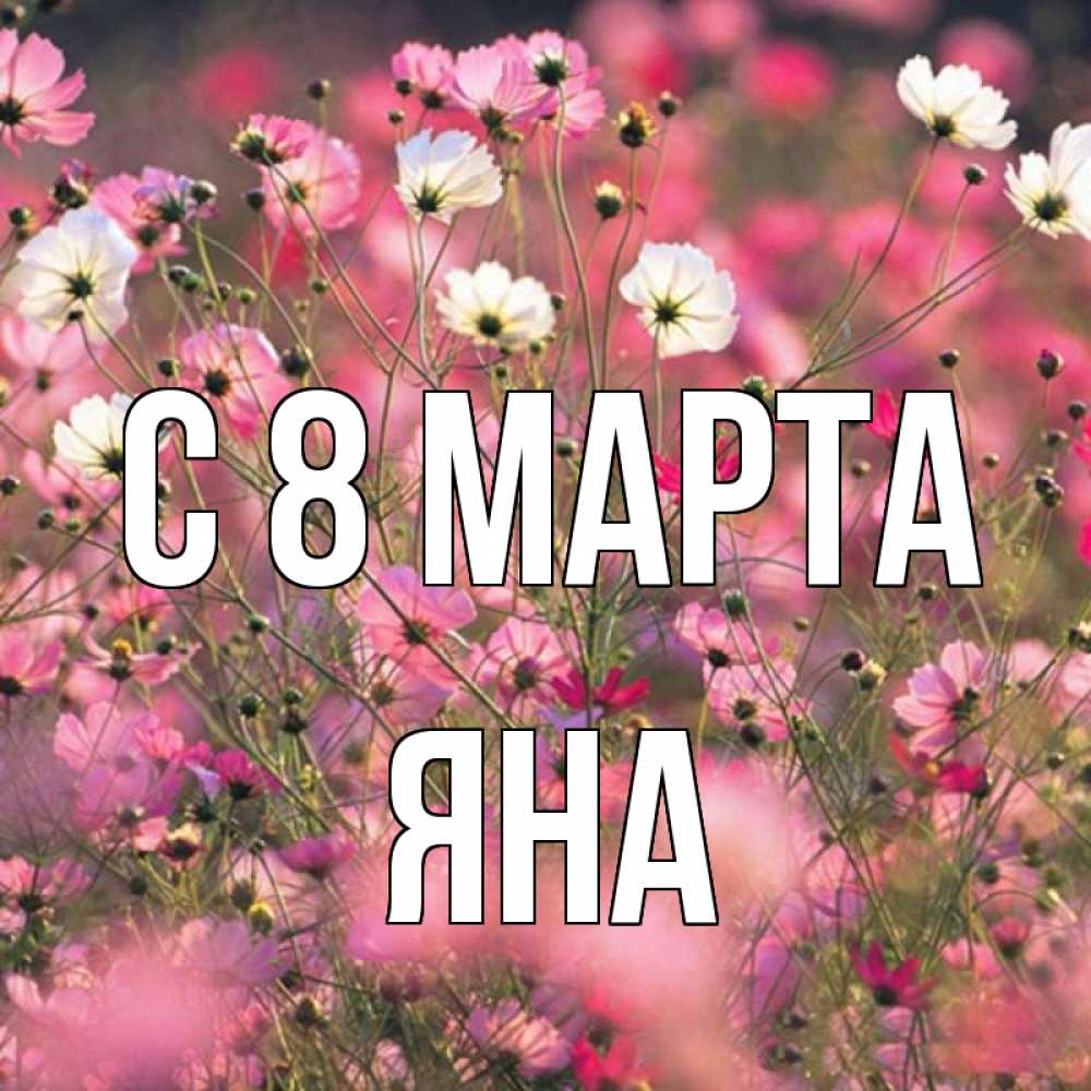 Открытка на каждый день с именем, Яна С 8 марта красиво 1 Прикольная открытка с пожеланием онлайн скачать бесплатно 