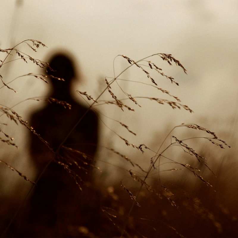 Открытка колосятся растения   силуэт девушки  Я по тебе скучаю 