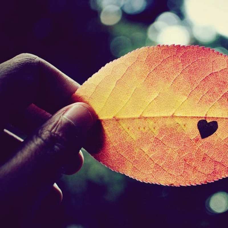 Открытка листик с сердцем  держу лист  Я тебя люблю 