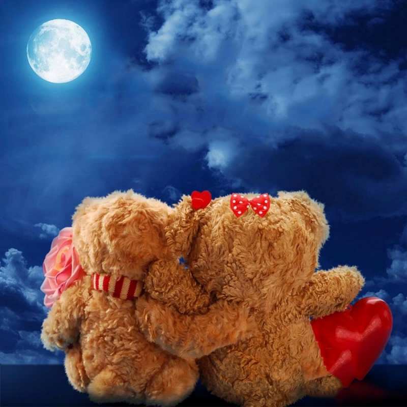 Открытка медведи смотрят на луну  плюшевые  Спокойной ночи 